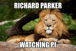 Contemplative Lion