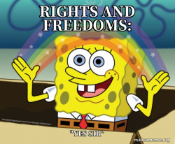goverment be like