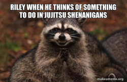 Evil Plotting Raccoon