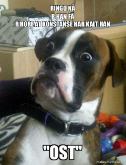 Skeptical Dog
