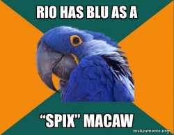 Paranoid Parrot