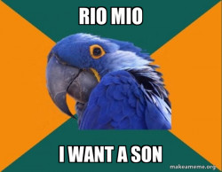 Paranoid Parrot
