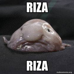 riza
