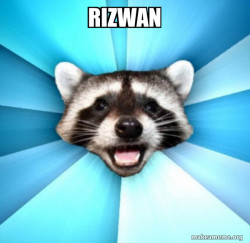 Lame Pun Coon