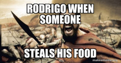 The 300