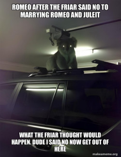 Drop Bear