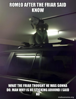 Drop Bear