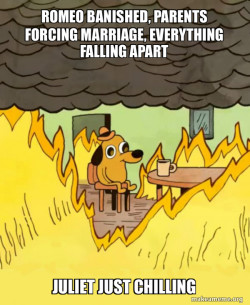 This Is Fine