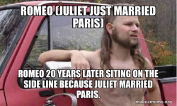 Almost Politically Correct Redneck