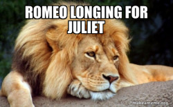 Confession Lion
