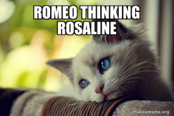 First World Cat Problems