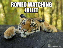 Confession Tiger
