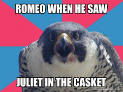 Millennial Falcon