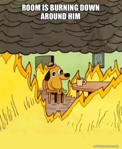 This Is Fine