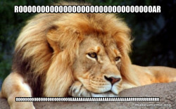 Confession Lion