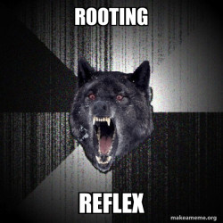 Insanity Wolf