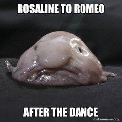Blobfish