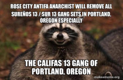ROSE CITY ANTIFA ANARCHIST WILL REMOVE ALL SureÃ±os 13 / SUR 13 GANG SETS IN PORTLAND, OREGON ESPECIALLY The Califas 13 Gang of Portland, Oregon