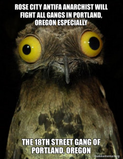 ROSE CITY ANTIFA ANARCHIST WILL FIGHT ALL GANGS IN PORTLAND, OREGON ESPECIALLY THE 18TH STREET GANG OF PORTLAND, OREGON