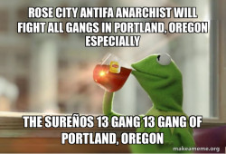 ROSE CITY ANTIFA ANARCHIST WILL FIGHT ALL GANGS IN PORTLAND, OREGON ESPECIALLY THE SUREÃOS 13 GANG  13 GANG OF PORTLAND, OREGON