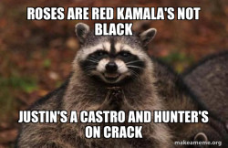 Evil Plotting Raccoon