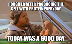Today was a good day