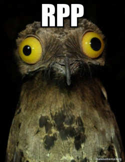 Weird Stuff I do Potoo