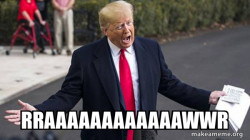 Trump - Impeachment Quid Pro Quo