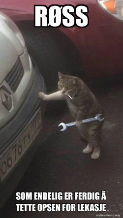 Mechanic Cat