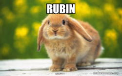 Regretful Rabbit