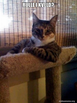 The Most Interesting Cat in the World