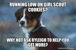 Unsure Dog