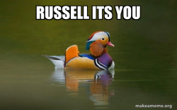 Fashionable Advice Mallard