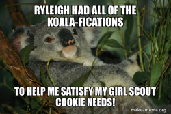 Laid Back Koala