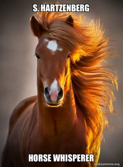 Ridiculously photogenic horse