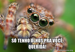 Hipster Spider