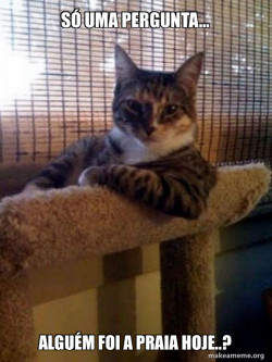 The Most Interesting Cat in the World