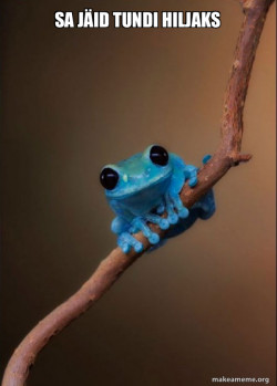 Small Fact Frog