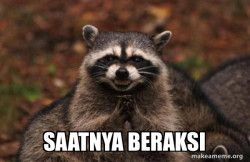 Evil Plotting Raccoon