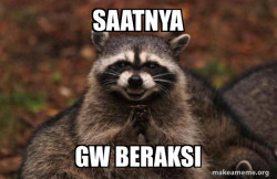 Evil Plotting Raccoon