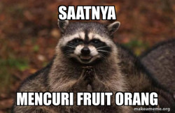 Evil Plotting Raccoon