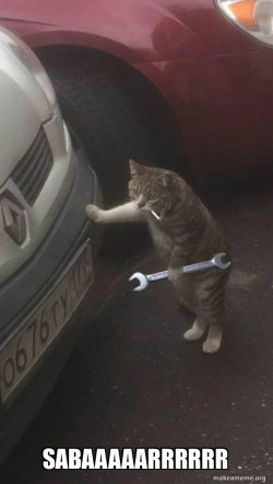 Mechanic Cat