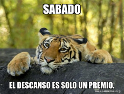 Confession Tiger