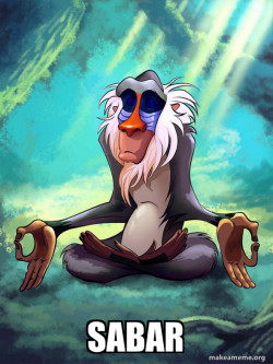 Rafiki Meditating - Lion King