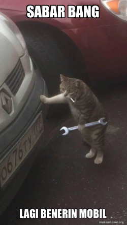 Mechanic Cat