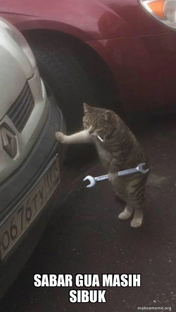 Mechanic Cat