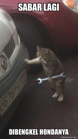 Mechanic Cat