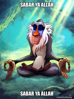 Rafiki Meditating - Lion King