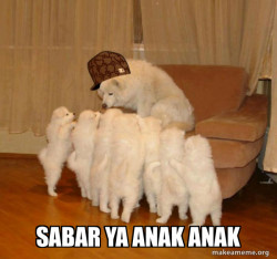 Scumbag Storytelling Dog