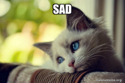 First World Cat Problems
